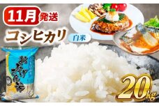 【11月発送】コシヒカリ 白米 20kg 愛西市 / 脇野コンバイン  米 お米 コメ [AECP023-3]