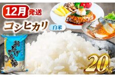 【12月発送】コシヒカリ 白米 20kg 愛西市 / 脇野コンバイン 米 お米 コメ [AECP023-4]