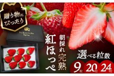【先行予約】 ＼毎年12月より順次発送／ 紅ほっぺ 9粒  いちご 果物 フルーツ 愛西市 / くぼ苺農園 【配達不可：北海道・沖縄・離島】 [AECJ008]