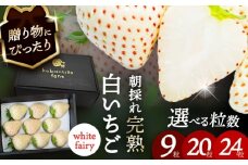 【先行予約】 ＼毎年1月より順次発送／ 白いちご　White Fairy 20粒 愛西市 / くぼ苺農園 【配達不可：北海道・沖縄・離島】 [AECJ017]