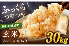 ＼大容量／ あいちのかおり 玄米 30kg お米 玄米 愛西市 / 日栄トラクター [AEDM001]
