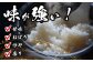 コシヒカリ 白米 5kg×3回 定期便 新米 令和6年度産