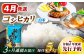 コシヒカリ 白米 5kg×3回 定期便 新米 令和6年度産