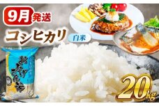 【9月発送】コシヒカリ　白米　20kg　米　お米　ご飯　愛西市/脇野コンバイン [AECP023-1]