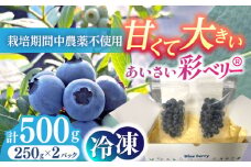 ＼毎年7月より順次発送／ あいさい彩ベリー（ブルーベリー冷凍果実）250g×2パック 産地直送 冷凍 ブルーベリー 愛西市 / あいさいベリーLABO [AEBZ003] フルーツ ブルーベリー 果物