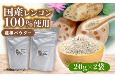 国産 れんこんパウダー 2袋  レンコン 調味料 野菜 愛西市 / しょうがやさん 【配達不可：離島】 [AEAO011]