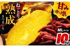 さつまいも 10kg / 焼き芋 焼きいも 紅はるか シルクスイート あまはづき 野菜 愛西市 / 川口農園 [AEDH002]