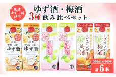 梅酒・ゆず酒　500mlパック　6本セット(3種類×各2本)【1139985】