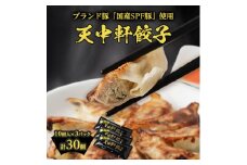 天中軒の冷凍餃子　3パック【1412613】