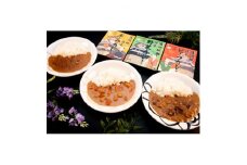 清洲城信長カレー3種　12個セット【1535134】