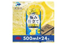 キリン　麒麟百年　極み仕立て　レモンサワー　500ml×24本(1ケース)【1501150】