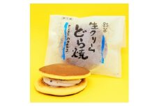 御菓子処わたなべ製造　生どら10個入【1605271】