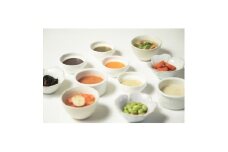 介護用GSミキサー食・おまかせ3日間セット(3食×3日間分)【1650119】