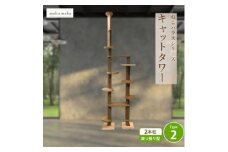 ＜ねこハウスシリーズ＞天井突っ張り型キャットタワー　杉と桧の無垢材　TYPE2麻紐柱仕様　基本セット_キャットタワー 猫 ねこ ネコ 突っ張り型 2本柱 突っ張り 組立 杉 スギ 桧 ヒノキ 無垢材 ペット ペットグッズ 猫用品 ペット用品 家具【1468224】