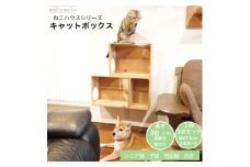 床置きタワー・壁付けキャットウォークで使えるキャットボックス　2段3点セット(右上がり)【1563391】