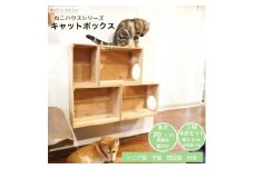 床置きタワー・壁付けキャットウォークで使えるキャットボックス　2段4点セット(左上がり)【1563423】