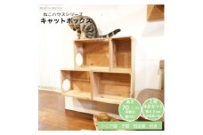 床置きタワー・壁付けキャットウォークで使えるキャットボックス　2段4点セット(右上がり)【1563425】