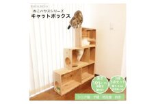 床置きタワー・壁付けキャットウォークで使えるキャットボックス　3段5点セット(右上がり)【1563427】