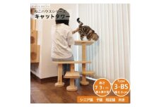 ベンチの様に座って猫と戯れられる据え置き型キャットタワー　選べる幅2種類の幅60cm　タイプ3BS【1563442】
