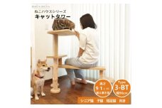 ベンチの様に座って猫と戯れられる据え置き型キャットタワー　選べる幅2種類の幅90cm　タイプ3BT【1563447】