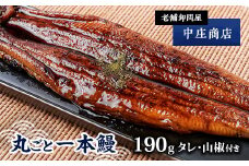 創業90年の老舗卸問屋が本当に召し上がっていただきたい「丸ごと一本鰻」【1174640】