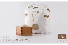 おいしいコシヒカリ　3kg　2個セット【1207371】