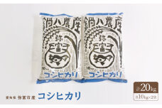 愛知産弥富市産コシヒカリ10kg　2袋【1211644】