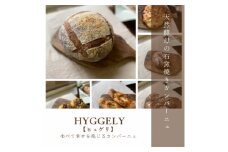 愛知県みよし市産 石窯パン詰め合わせ Mサイズ 7～10個入り【1578415】