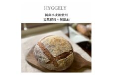 愛知県産こだわりの石窯焼きプレミアムカンパーニュ1個【1578331】
