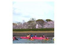＜2025年3月29日(土)・30日(日)開催＞　お花見カヌー体験(2名様)【1586929】