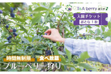 【時間無制限・食べ放題】ブルーベリー狩り入園チケットおとな１枚