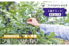 【時間無制限・食べ放題】ブルーベリー狩り入園チケットおとな２枚
