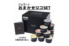 イタリアンジェラート RONO店長おまかせジェラート12個SET【1346016】