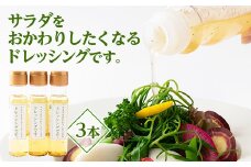 「サラダをおかわりしたくなるドレッシングです。」3本セット【1423781】
