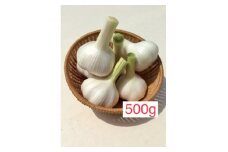 ニンニク 500g【1459920】