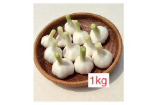 ニンニク 1kg【1459928】