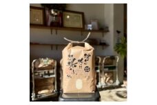愛知県産ゆめまつり 精米10kg【1394558】