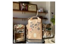 愛知県産ひのひかり 精米10kg【1394557】