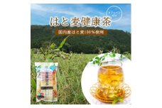 はと麦健康茶ティーバッグ (7.5g×24パック)×＜15入＞【1434779】