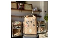 ＜2ヵ月毎定期便＞愛知県産ひのひかり 精米10kg全6回【4004842】