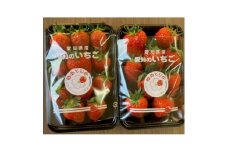 ＜2024年1月から順次発送＞よつぼし約250g×4パック(約1kg)愛知県大口町産【1461525】
