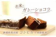 【グルテンフリー】手作りガトーショコラ（魚沼産コシヒカリ米粉100％）2本詰め【離島配送不可】 [№5933-0001]