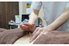 訪問治療20分無料券 [№5933-0022]