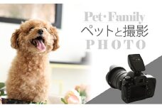 ペットと撮影（データ３枚付き） [№5933-0124]