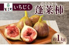 [№5830-0032]数量限定 いちじく 蓬莱柿 ほうらいし 約1kg 8粒～12粒 朝穫れ 果物 フルーツ 無花果 イチジク 愛知県産 デザート おやつ 食後 朝採り 産地直送 お取り寄せ 送料無料 名古屋西青果 愛知県 蟹江町