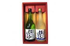 No.004 ほしいずみ　飲みごろセット ／ お酒 日本酒 純米吟醸 愛知県 特産