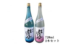 No.026 ほしいずみ生酒720ml　2本セット ／ お酒 日本酒 純米吟醸 愛知県 特産
