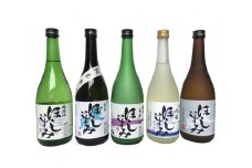 No.012 ほしいずみ　飲みくらべ五種セット ／ お酒 日本酒 純米大吟醸 辛口 飲み比べ 愛知県 特産