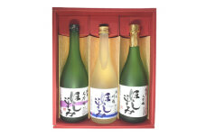 No.011 ほしいずみ　純米吟醸三種セット ／ お酒 日本酒 純米大吟醸 飲み比べ 愛知県 特産