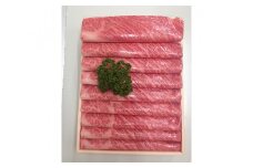 No.046 知多牛【響】肩ローススライス　約900g ／ 牛肉 ブランド牛 愛知県 特産